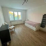 Pronajměte si 4 ložnic/e byt o rozloze 110 m² v Most