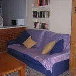 Rent 1 bedroom apartment of 40 m² in Cadiz']