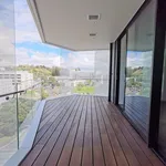 Rent 1 bedroom apartment in Albert-Eden