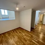 Miete 1 Schlafzimmer wohnung von 95 m² in Vienna