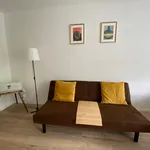 Rent 2 bedroom apartment of 55 m² in München