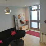 Rent 9 bedroom apartment in Madrid