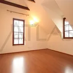 Rent 3 bedroom apartment of 110 m² in Prague