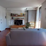 Rent 3 bedroom apartment of 90 m² in Monza