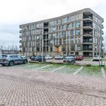 Huur 3 slaapkamer appartement van 144 m² in Arnhem