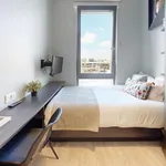 Rent 1 bedroom flat in London