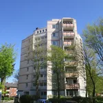 Rent 3 bedroom apartment of 66 m² in Delmenhorst