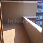 Rent 4 bedroom apartment of 150 m² in Piacenza