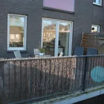 Huur 1 slaapkamer appartement van 47 m² in Tilburg