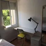 Rent a room in valencia