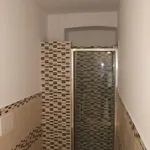 Rent 1 bedroom apartment of 25 m² in Torino