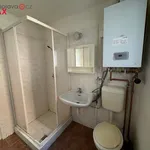 Rent 1 bedroom house of 80 m² in Olomouc