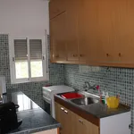 Rent 1 bedroom apartment of 45 m² in Almeria