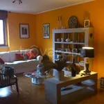 Rent 3 bedroom apartment of 90 m² in Monza