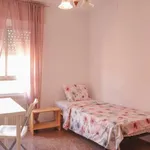 Rent a room in madrid