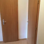 Rent 1 bedroom apartment in Praha - západ