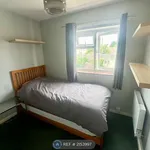 Rent a room in South West England