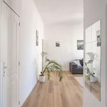 Rent 2 bedroom apartment of 39 m² in Marseille