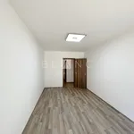 Pronajměte si 3 ložnic/e byt o rozloze 90 m² v Prague