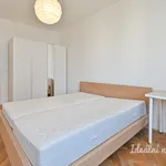 Rent 2 bedroom apartment in Brno