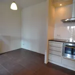 Rent 4 bedroom house of 114 m² in Grasrijk