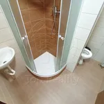 Rent 1 bedroom apartment in Sokolov