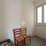 Rent 3 bedroom apartment of 104 m² in Roma