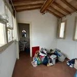 Rent 5 bedroom apartment of 100 m² in Siena