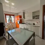 Rent 2 bedroom apartment of 75 m² in Turin