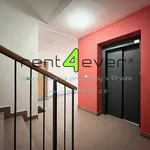 Rent 1 bedroom apartment of 28 m² in Capital City of Prague