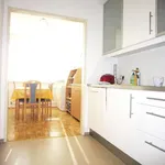 Miete 3 Schlafzimmer wohnung von 94 m² in Graz