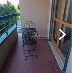 Rent 5 bedroom apartment of 110 m² in Pescara