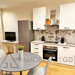 Rent 2 bedroom apartment of 50 m² in Torino