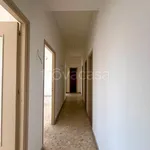 Rent 7 bedroom apartment of 138 m² in Palermo