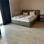 Rent 1 bedroom apartment of 45 m² in Kaiserslautern