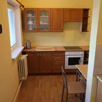 Rent 1 bedroom apartment of 100 m² in Brno