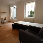 Rent 1 bedroom apartment of 60 m² in Brno