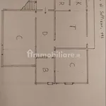 Rent 3 bedroom apartment of 80 m² in Florence