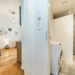 Rent 1 bedroom apartment of 29 m² in Prague