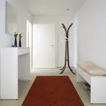 Rent 2 bedroom apartment of 60 m² in Zürich