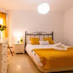 Rent 1 bedroom apartment of 50 m² in Cordoba