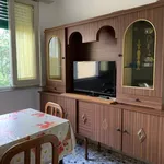 Rent 2 bedroom apartment of 60 m² in viareggio