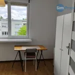 Rent 1 bedroom apartment in Brno