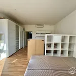 Rent 1 bedroom apartment in Brno