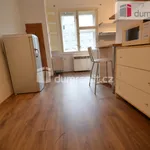 Rent 1 bedroom apartment of 40 m² in Capital City of Prague