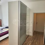 Rent 1 bedroom apartment in Capital City of Prague