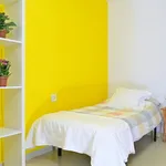 Alquilar 4 dormitorio apartamento en Alicante