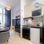 Rent 1 bedroom apartment of 24 m² in Brno