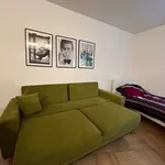 Rent a room of 50 m² in Brno