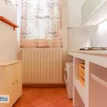 Rent 1 bedroom apartment of 23 m² in Bologna